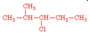 <p>name this structure</p>
