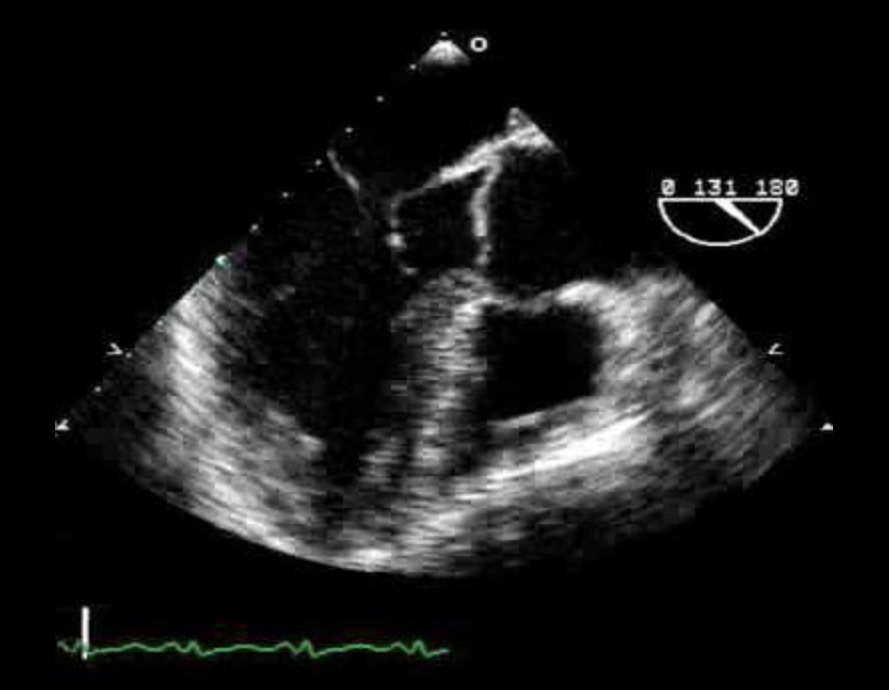 <p>What view is this?</p>