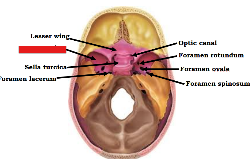 <p>Fill in the red box:</p>