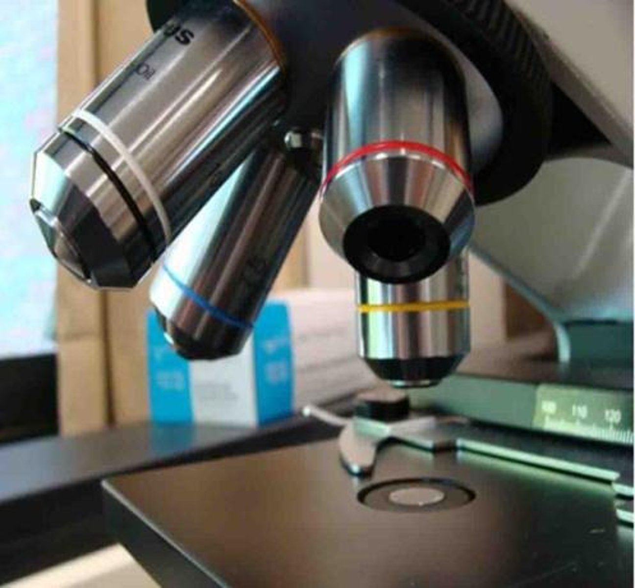 <p>Lens closest to the eye; magnifies up to 10x.</p>