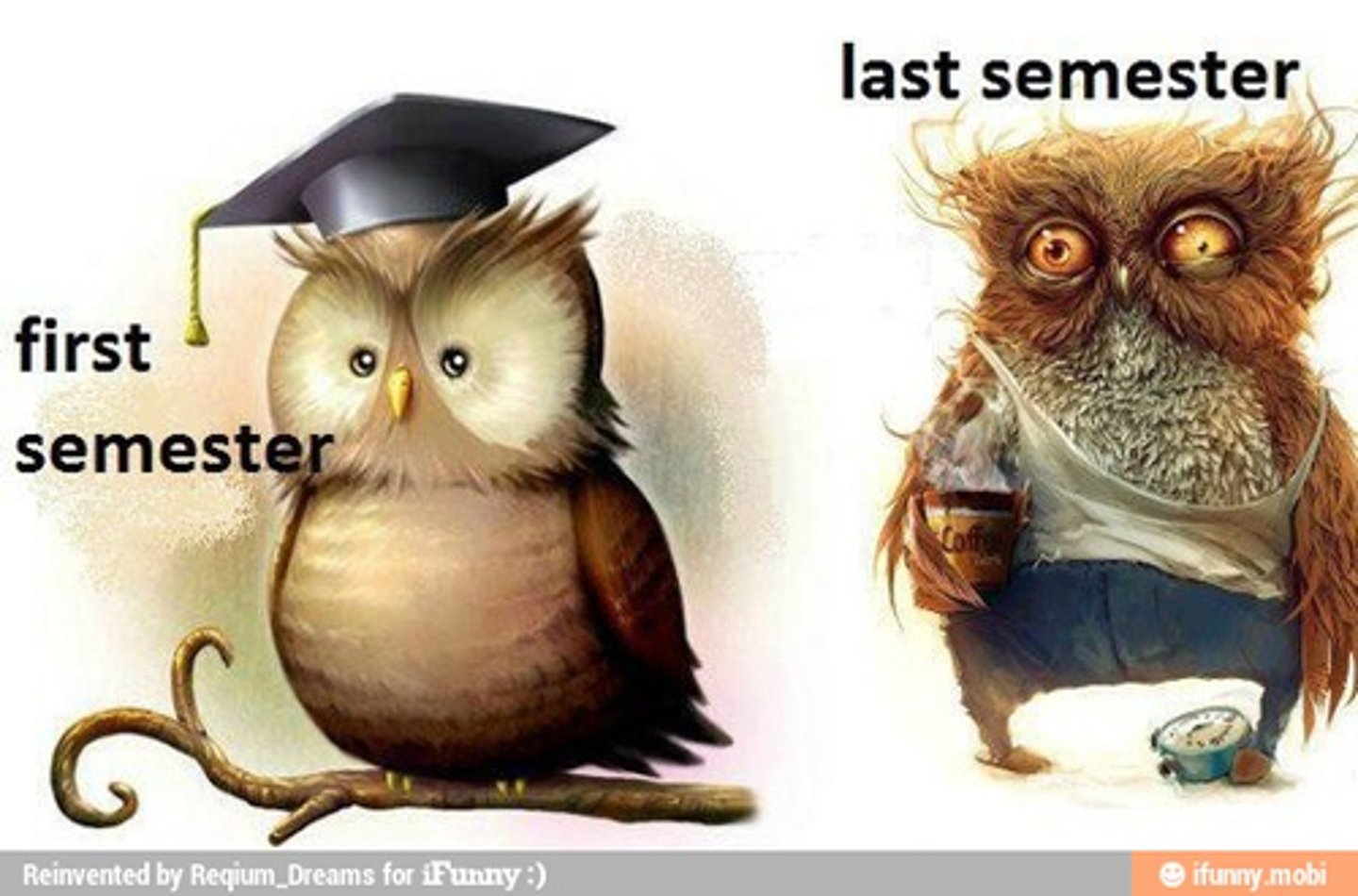 <p>semester</p>