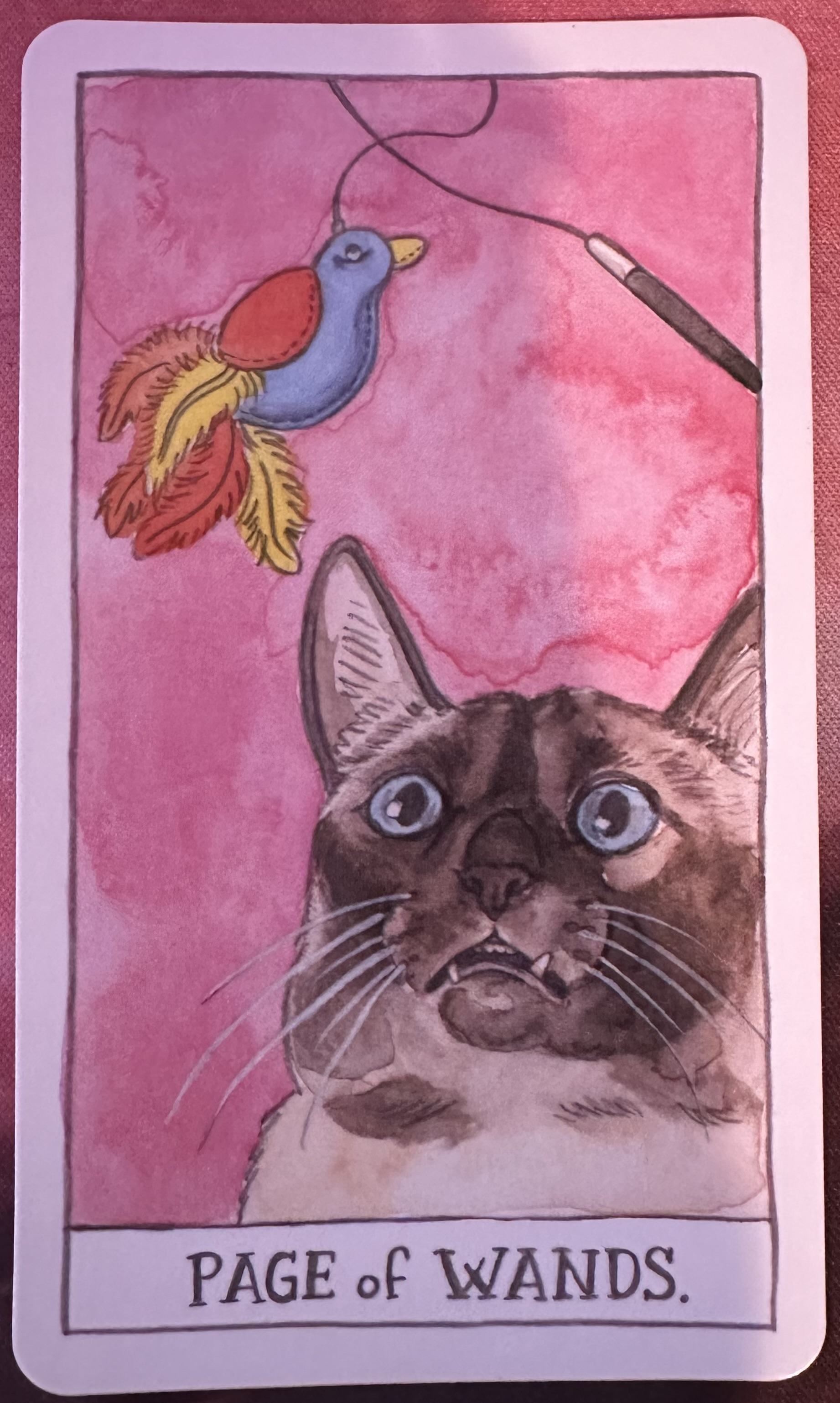 <p>Page of Wands Upright</p>