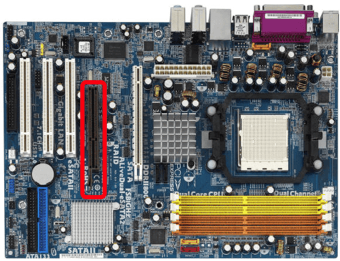 <p>AGP</p>