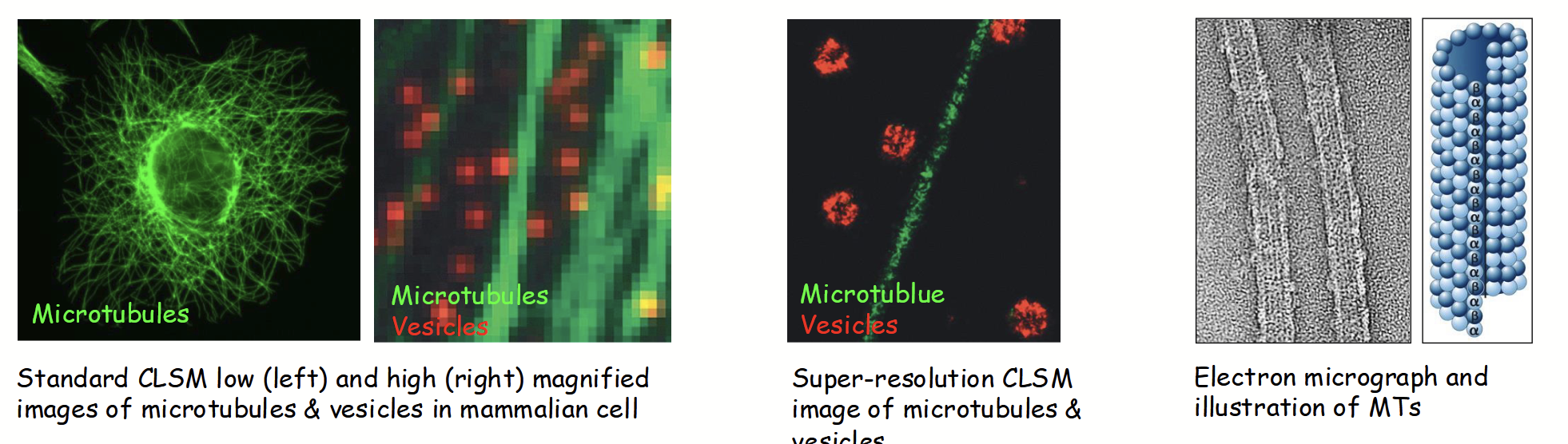 <ul><li><p>Human eye: 0.1 mm</p></li><li><p>Standard brightfield and fluorescence microscopy (CLSM): 200 nm (500X)</p></li><li><p>Super-resolution CLSM: 20 nm (5,000X)</p></li><li><p>Electron microscope (EM): 0.2 nm (500,000X)</p><ul><li><p>Uses electrons (λ=0.0045 nm) rather than photons - lower λ yields higher resolution.</p></li></ul></li></ul><p></p>