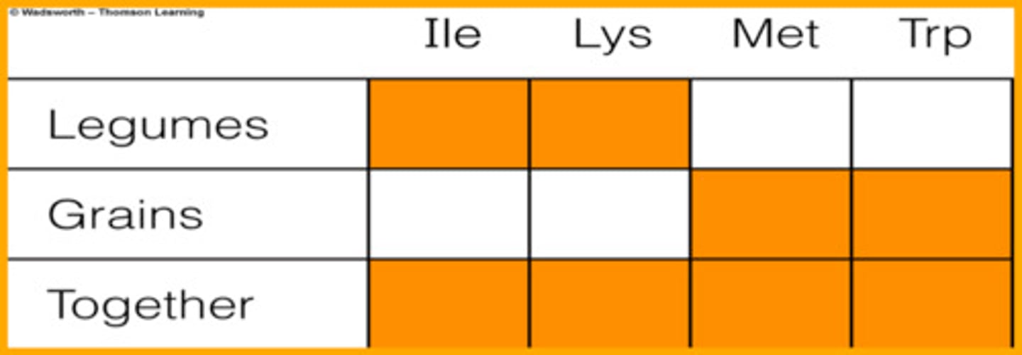 <p>two or more dietary proteins whose amino acid assortments complement each other in such a way that the essential amino acids missing from one are supplied by the other</p>