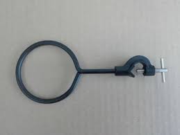 <p>Identify the Image</p>