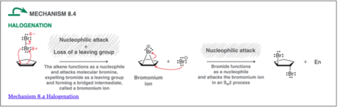 <p>-involves the addition of X2 (either Br2 or Cl2) across an alkene.</p><p>-For most simple alkenes, halogenation appears to proceed via an anti-addition</p><p>-The stereochemical outcome for halogenation reactions is dependent on the configuration of the starting alkene</p><p>1. Br2 or Cl2</p>