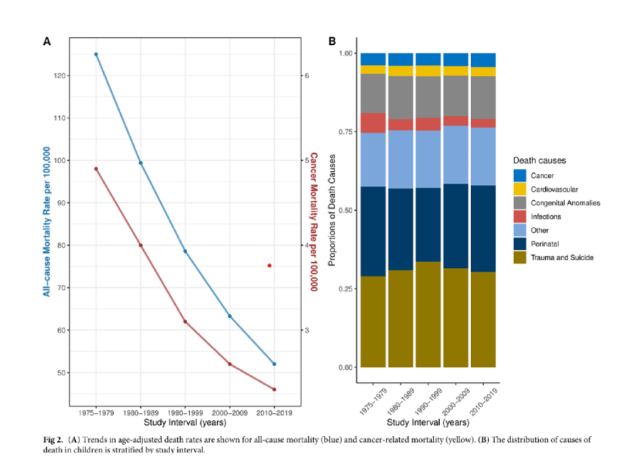 <p>no trauma and suicide is the leading cause</p><ul><li><p>cancer is the smallest cause aside from cardiovascular</p></li></ul><p></p>