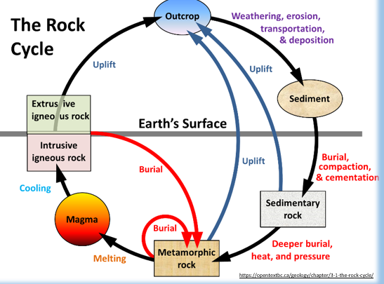 <p><span>-Magma is derived from melting of the asthenosphere (upper mantle) or the crust. this can be intrusive and extrusive. </span></p><p><span>-Intrusive igneous rocks can </span>be uplifted to the Earth’s surface</p><p><span>-Weathering and erosion of the Earth’s surface breaks rocks down into clasts (sediment) and ions</span></p><p><span>-Sediment and ions are transported away from the source and deposited in low-energy environments</span></p><p><span>-Sediments are buried at depth and lithified (i.e., turned to stone) to form sedimentary rocks</span></p><p><span>-Sedimentary rocks may be uplifted back to the surface where they are recycled by weathering and erosion into new sediments</span></p><p><span>-Alternatively, as sedimentary rocks are further, increasing temperatures (heat) and overburden pressure turns then into metamorphic rocks</span></p><p><span>-Additional burial may be due to further deposition of sediment above, or may be due to tectonic stacking of geological units</span></p><p><span>-Metamorphic rocks may be uplifted back to the surface where they are cycled by weathering and erosion into new sediments</span></p><p><span>-Further heating can cause metamorphic rocks to melt, producing magma. Melting is usually not complete (i.e., partial melting) as different minerals have different melting temperatures</span></p><p><span>-This means the components of all sedimentary rocks have been recycled many times. </span></p>
