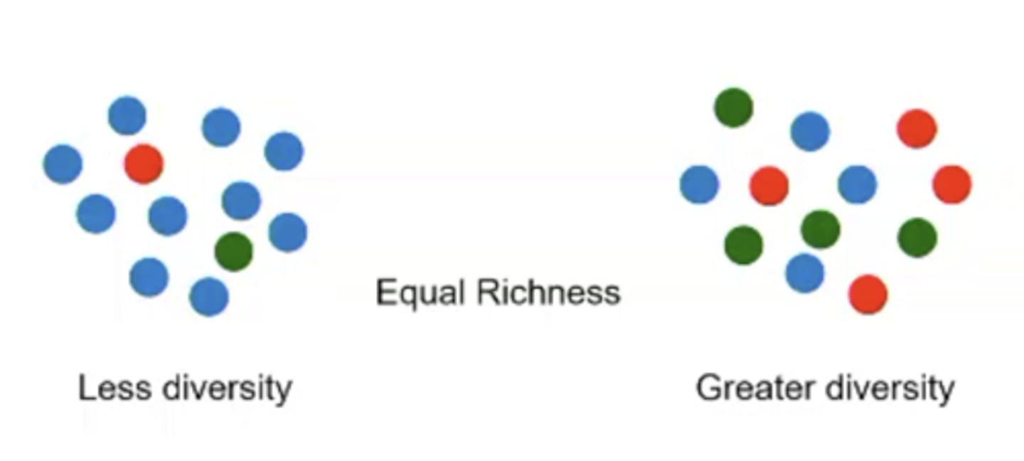<p>The number of different species in a given area</p>