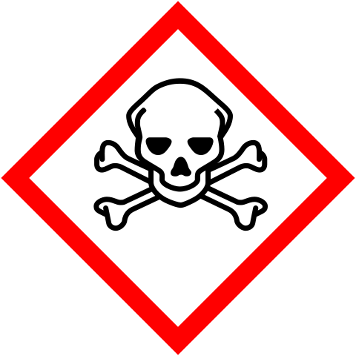 <p>skull and crossbones</p>
