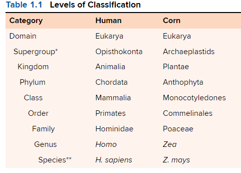 <p><span style="font-family: Archivo Black, sans-serif">Which of these taxa includes all the others?</span></p>