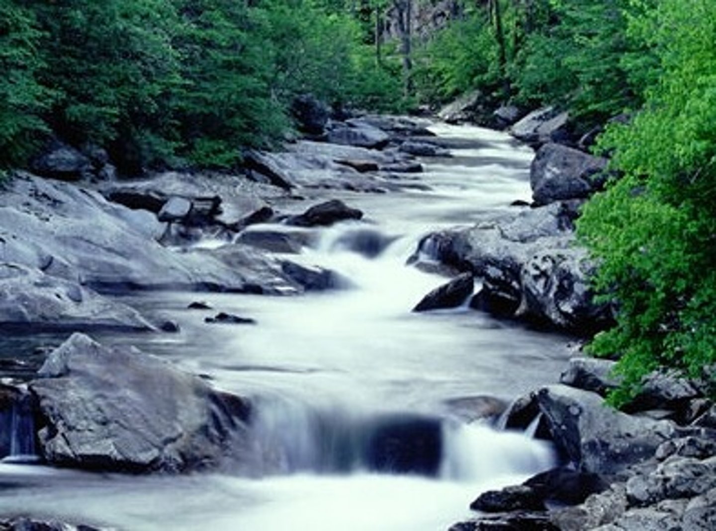 <p>river, stream</p>