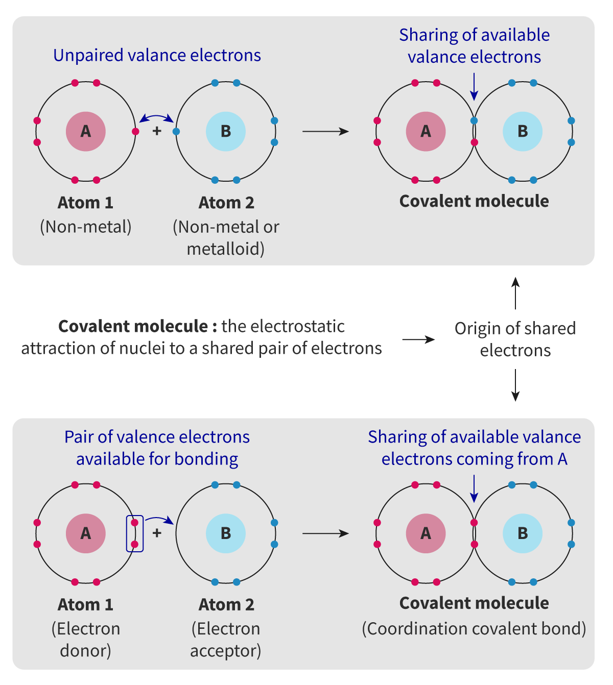 <p>A covalent bond where both of the electrons being shared in the bond have been donated by one atom</p>