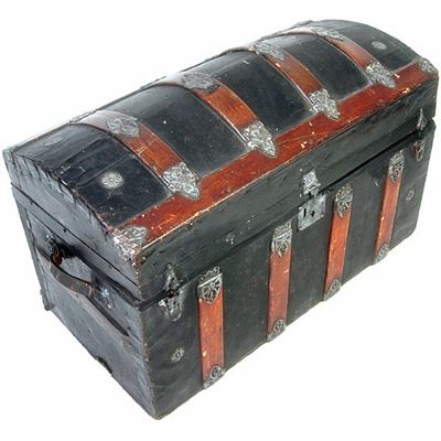 <p><span>幹 (みき)</span></p>