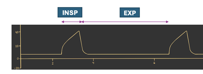 <p>In what type of ventilation (abbreviated) inspiration involves an increase in interpleural pressure and expiration is when interpleural pressure returns to atmospheric pressure at the end of expiration?</p>