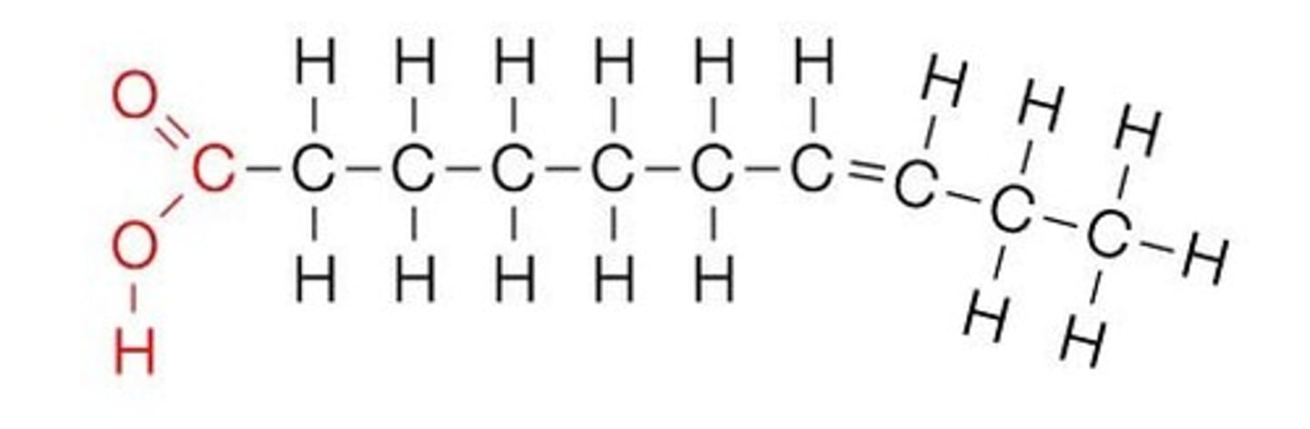 <p>Fatty acids (lipids) that are:</p><p>Liquid at room temperature</p><p>Have one or more double C-C bonds</p><p>Bent hydrocarbon chains</p>