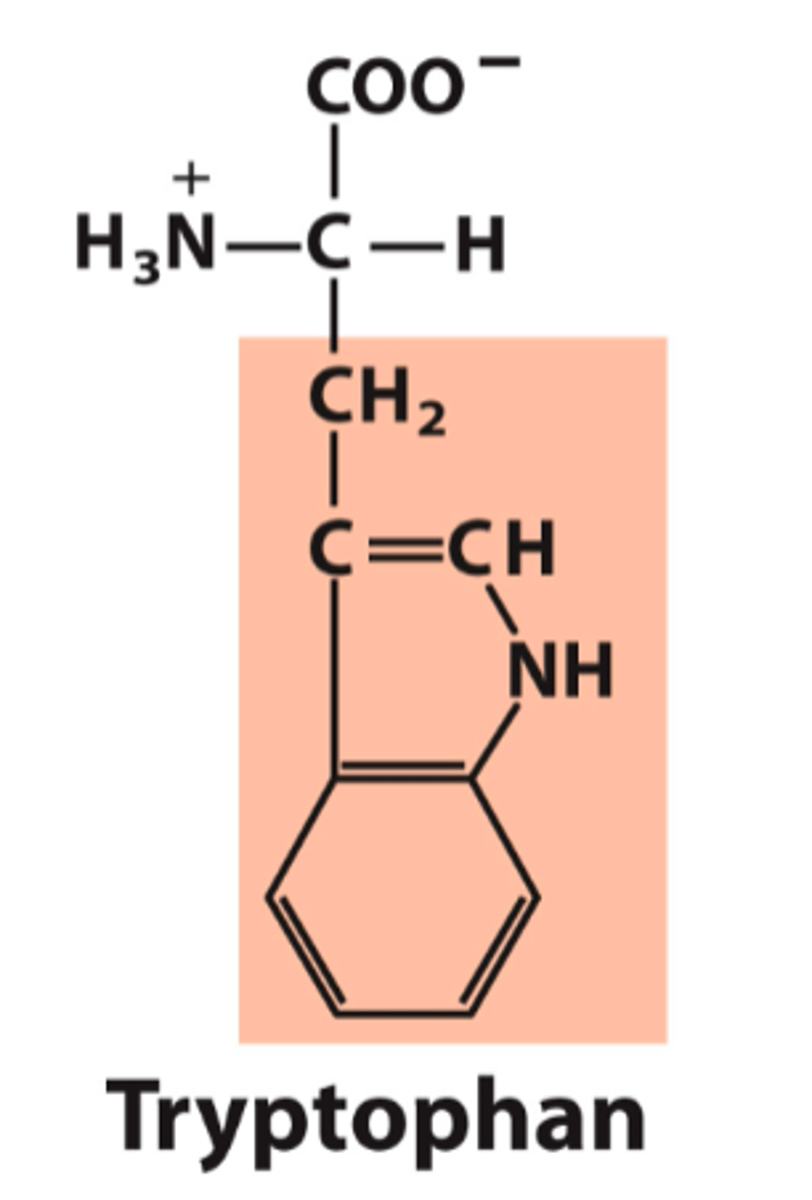 <p>What is the classification of this amino acid's R group?</p>