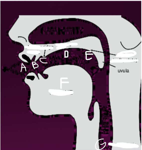 <p>What is G?</p>