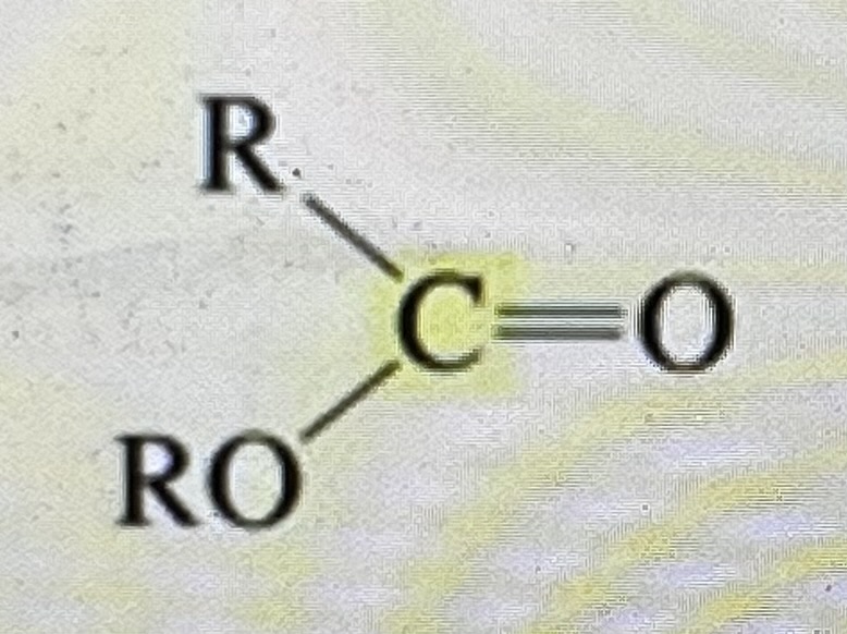 <p>ester</p>