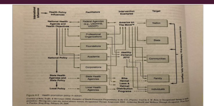 **Any combination of educational ecological supports for action and conditions of living conducive to health**

\
