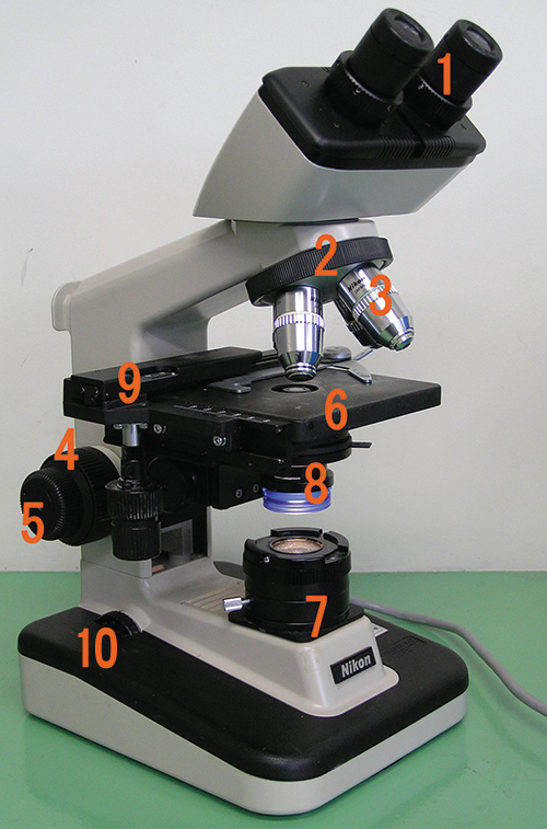 Label each component of the brightfield microscope.