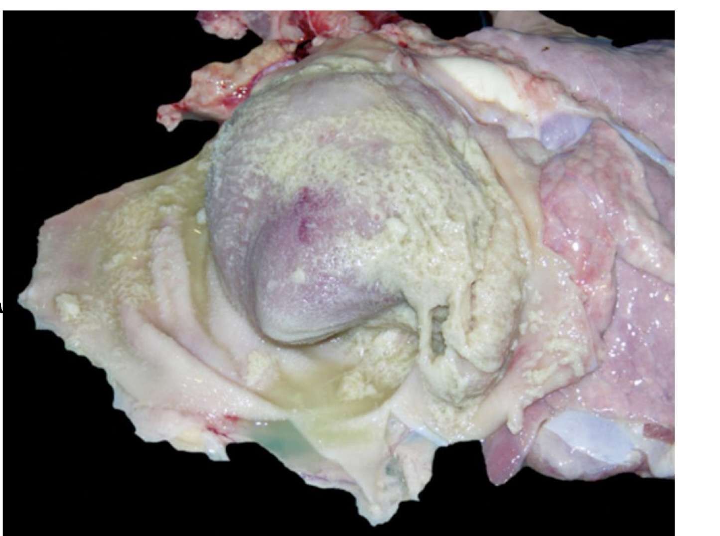 <p>what is this showing?</p>