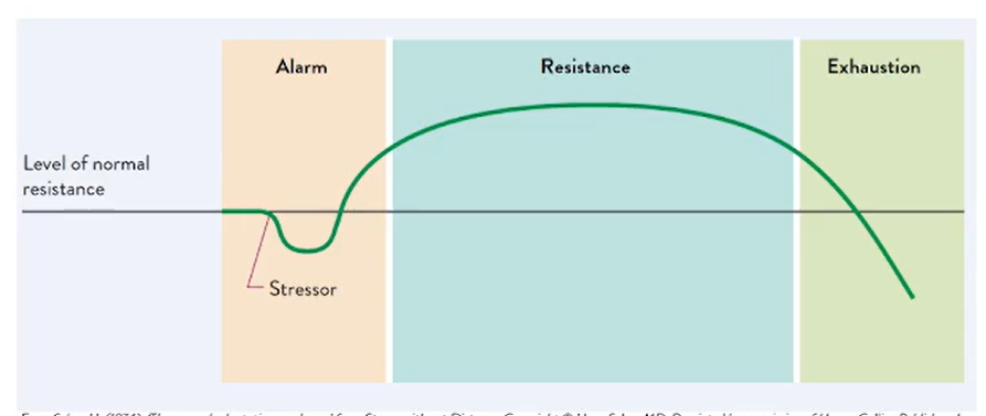 General Adaptation Syndrome