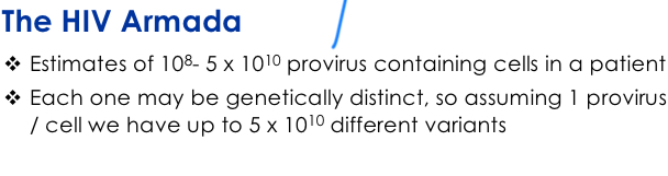 <p>Somewhere out there is a virus thats evolved against any vaccine</p>