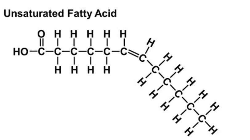 <p>~CONTAINS DOUBLE BONDS~</p><ul><li><p>produces a bend in fatty acid chain</p></li><li><p>typically fluid at room temperature</p></li><li><p>cannot pack tightly together</p></li><li><p>contain less hydrogen</p></li><li><p>typically made by plants</p></li></ul><p>polyunsaturated = 2+ double bonds</p>