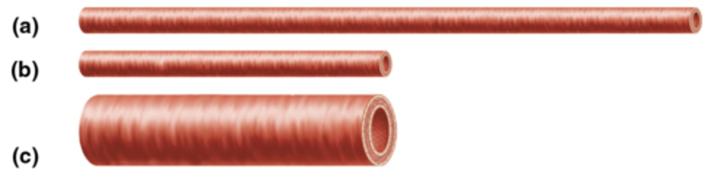 <p>Here are three blood vessels. Assuming that the difference in pressure along the length is the same for each, which would have the greatest blood flow?</p>