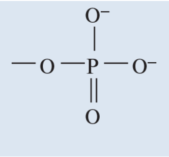 <p>Found in nucleic acids</p>
