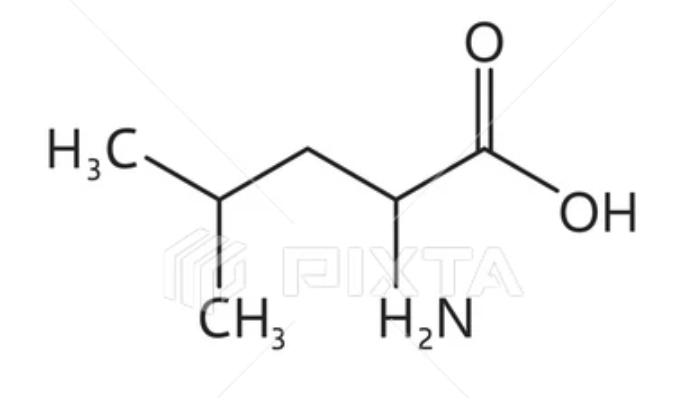 <p>What amino acid is this?</p>