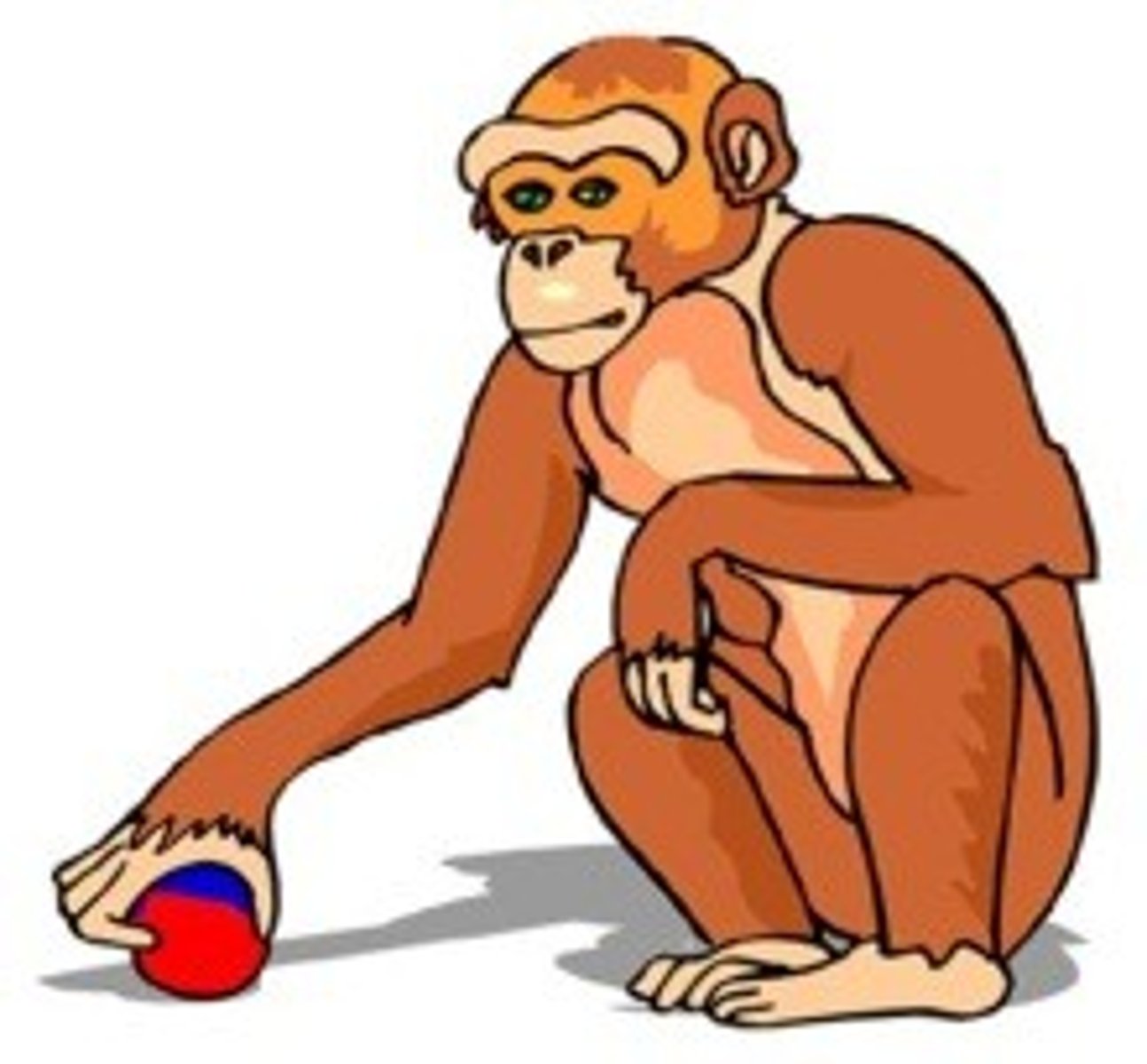 <p>der Affe, -n [die Affen]</p>