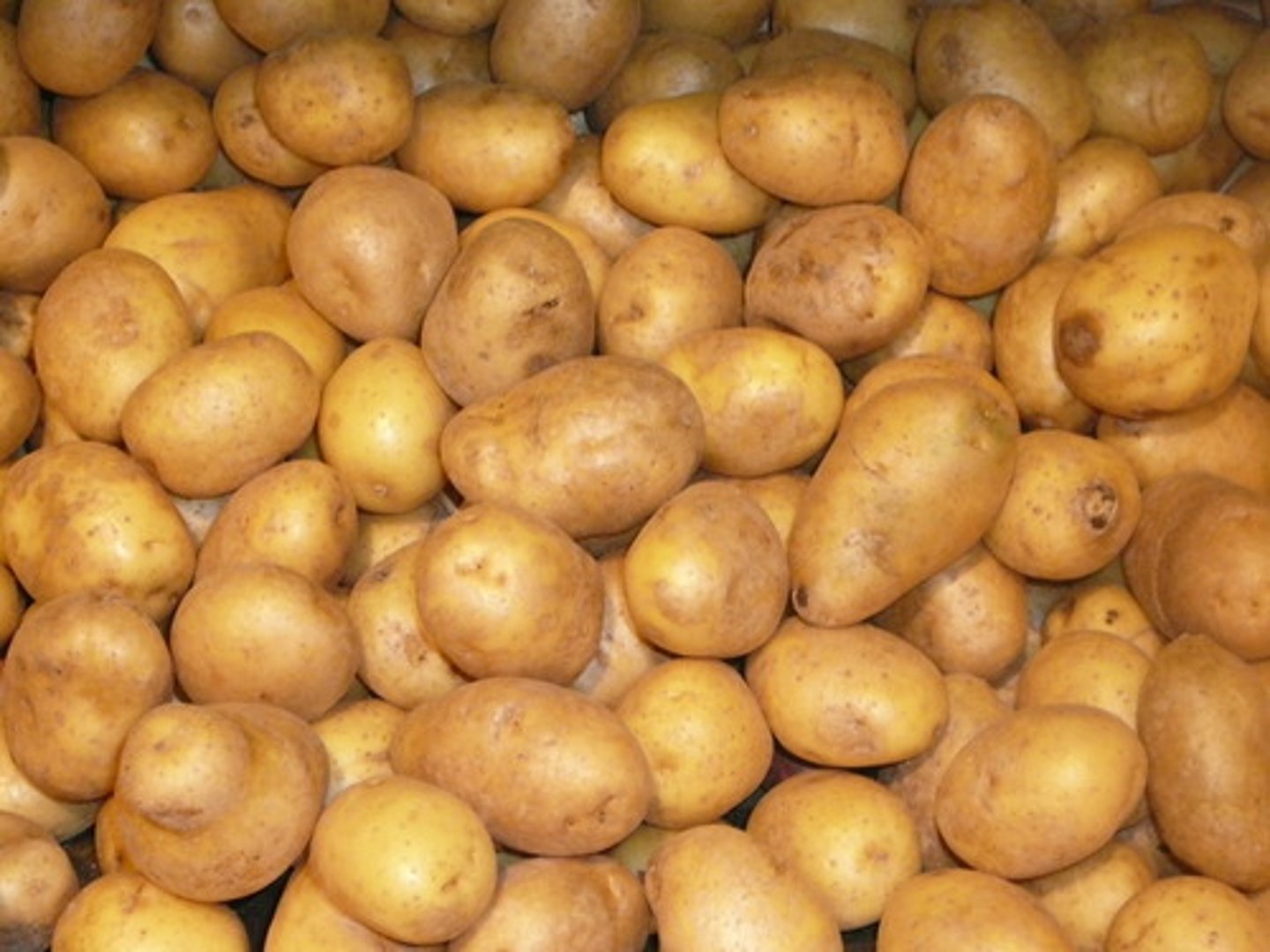 <p>die Kartoffeln</p>