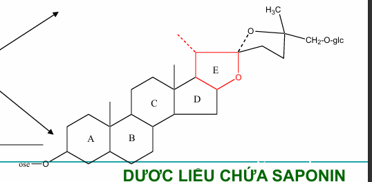 <p>Nhóm Furostan</p>