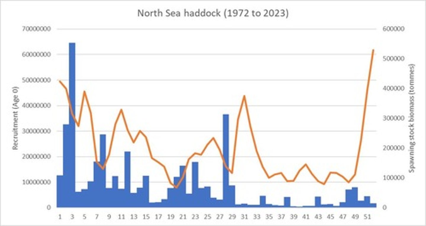<p>Larger spawning stocks tend to produce larger recruitments, but recruitment may plateau or decrease at high SSB.</p>