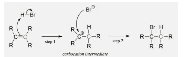 <ol><li><p>Permanent dipole in HBr</p></li><li><p>Pi bond of breaks</p></li><li><p>Forms dative covalent bond with H </p></li><li><p>HBr bond breaks - heterolytic fission </p></li><li><p>Carbocation intermediate </p></li><li><p>Lone pair of electrons on Br<sup>- </sup> forms dative covalent bond with C of carbocation</p></li></ol><p></p>