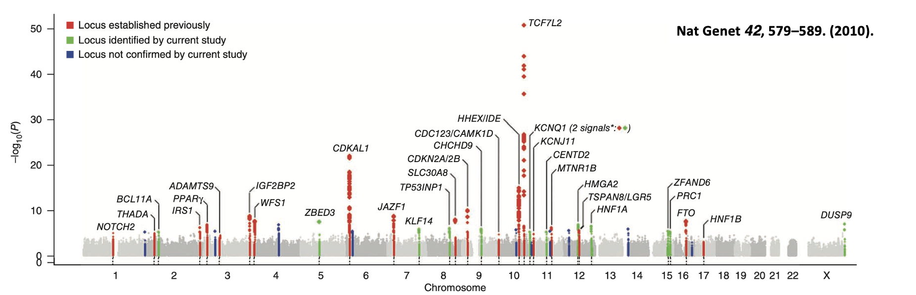 <p>Previously identified common risk alleles (red SNPs). Novel association loci determined due to increased statistical power (green SNPs). These novel loci have low Odds ratio (1.06-1.27) with each causing only a small increase in risk. </p>