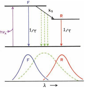 full excited vs fully relaxed - @ intermediate temps, intermediate shifts