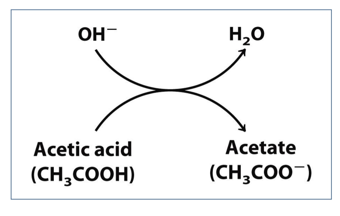 <p>Deprotonated, pH</p>