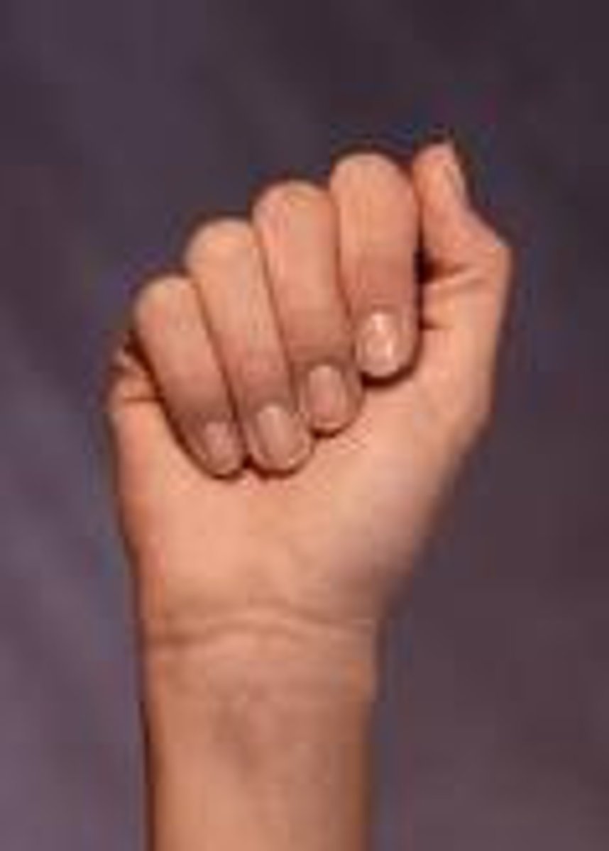 <p>A closed fist, all finger folded against the palm, thumb is straight, alongside the index finger.</p>