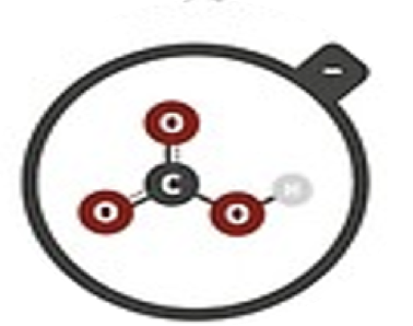 <p>Hydrogen carbonate</p>