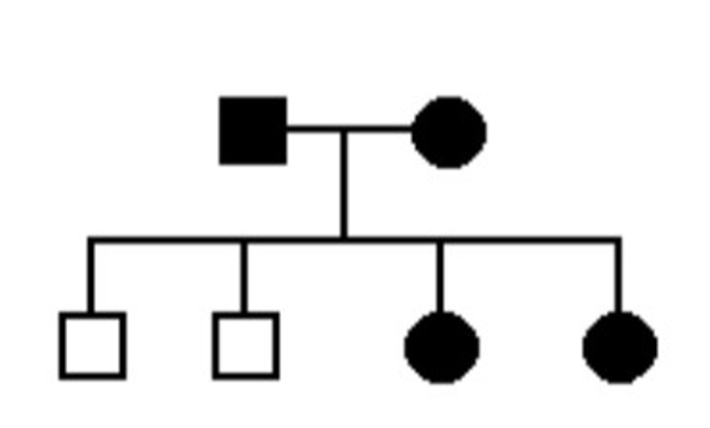 <p>The pedigree at right shows a family with a disease pattern indicated by shaded symbols. Which of the following patterns of transmission for this gene are consistent with this pedigree?</p><p>a. autosomal recessive</p><p>b. autosomal dominant</p><p>c. X-linked recessive</p>