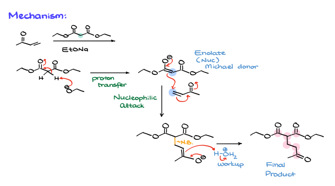 <ul><li><p>Michael acceptor = α,β-onverzadigde carbonyl</p></li><li><p>Michael donor = nucleofiel (met vrij ep)</p></li></ul><p></p>