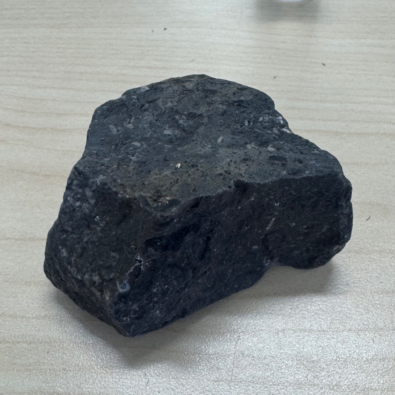 <p>Fossiliferous limestone</p>