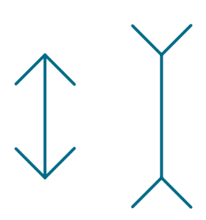 <p>line that has 2 lines going away at an angle looks longer than a line of the same length but the end lines angle back</p><p></p>