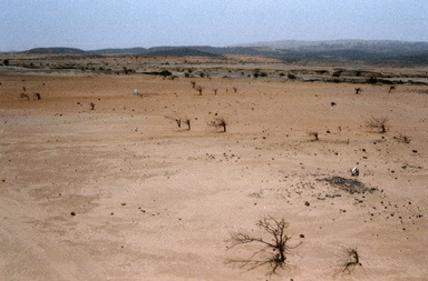 <p>Degradation of land, especially in semiarid areas, primarily because of human actions like excessive crop planting, animal grazing, and tree cutting</p>