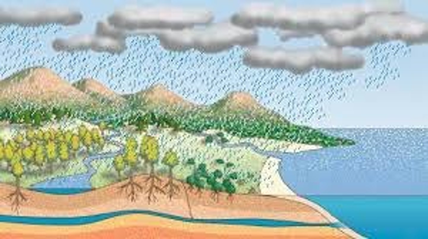 <p>precipitation</p>