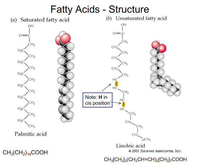 <p>DIAGRAM ON SLIDE 6</p>